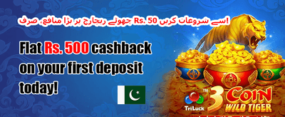 ویلے کم بونس