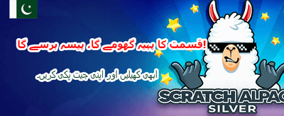 BJ Baji App Interface